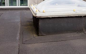 disadvantages of Lessonhall flat roofs