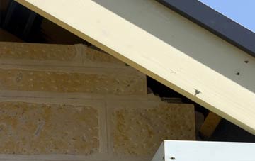 soffit repair Lessonhall